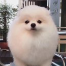 미소 이미지