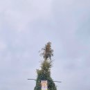 임랑민속