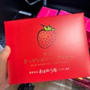 두리식품자판기 | 후쿠오카 2박 3일
