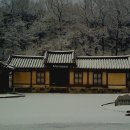 황우 이미지