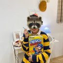 장&전치과의원 | 진작 할걸.. 대치동 베리타스치과 치아교정 후기