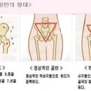 오리궁뎅이 이미지