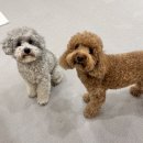 바우스쿨 이미지