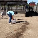 마우농장 이미지