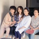 디어마이프렌즈 티스토리