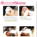 티피그린 이미지