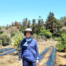 이연농장 이미지