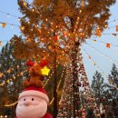 서울이용권 | 서울랜드 종합이용권 할인, 주차, 크리스마스 마켓 후기