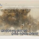 미담메디칼 이미지