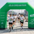 LG 앞 교통섬 이미지