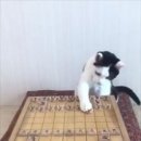 장군멍군 장기 이미지