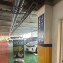 센텀필약국 | 부산 애견동반 카페 | 스포독, 도심속 800평 루프탑 부산 애견 운동장 (재방문 후기)