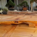 소나무 PC 이미지