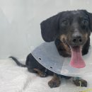 반여메디컬센터 이미지