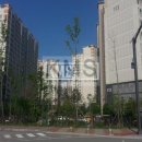 행복한공인중개사 이미지