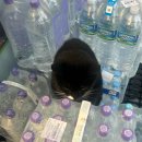 들마루칼국수 | 250701 - 250802