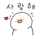 댕댕시 애견 유치원 이미지