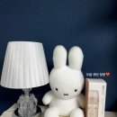리얼핏 | 젖병 추천 / 모윰 PPSU 래빗 젖병 &amp; 리얼핏 젖꼭지 후기
