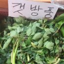 산채상회 이미지