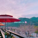 테라스 노래연습장 이미지