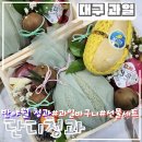 단디청과 이미지
