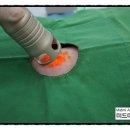 미드미동물병원 이미지