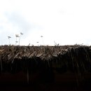 전북여자고등학교 이미지