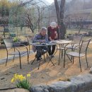 덕산3태양광 이미지