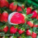 정은농장 이미지