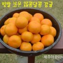 훈이농장 이미지