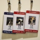 하울팟 부산케어센터 이미지