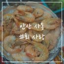 용신로248~서암로1 주변 | [안산/맛집] 사동 회사랑 *새우구이 , 우럭 *