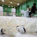 매봉산 실내배드민턴장 이미지