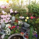 아름다원 이미지