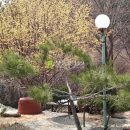 북상면횟집 이미지