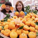 돌빌레 이미지