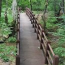 강원숙박 이미지