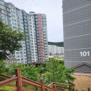 마동 체육공원 이미지