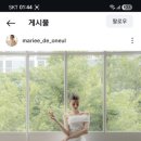 마리모리 이미지