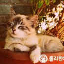 폴리한의원 이미지