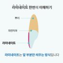 인수치과의원 이미지