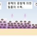 By 주