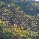 보현사앞 이미지