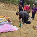 相자福자 백부님 백모님 합장 산소 단장 작업 이미지