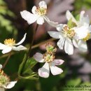 햇살이 머무는 뜨락 이미지