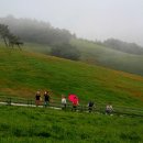 치악목장 이미지