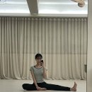 요가와필라테스 | 장안동 요가 추천 <아스테 요가 필라테스 스튜디오> 이용 후기