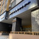 멍멍냐옹 | 구월동 동물병원 멍멍냐옹 동물병원에서 7개월 고양이 중성화수술하고온 후기 ~ ( 항체검사 , 중성화가격 )