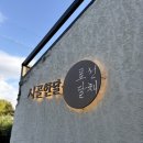 표선달채 이미지