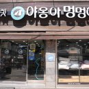 야옹아멍멍해봐 이미지